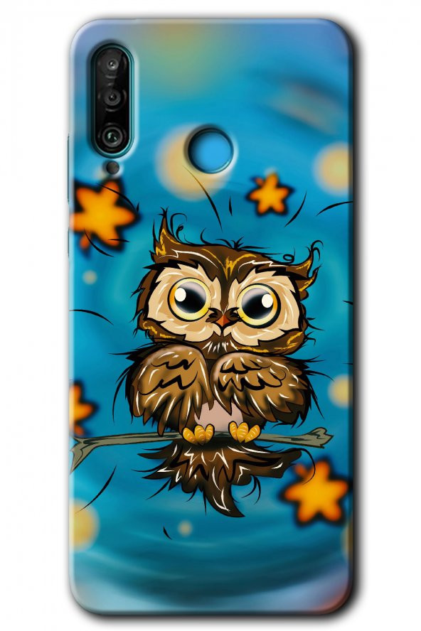 Huawei P30 Lite Kılıf HD Desen Baskılı Arka Kapak - Owl Bird Stars