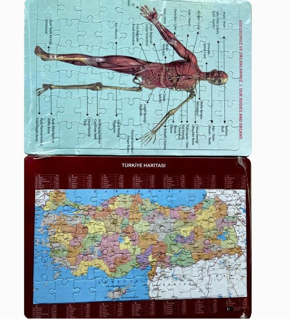 2Li Puzzle Set Türkiye Haritası 50 parça ve İnsan Anatomisi 60 parça - 6