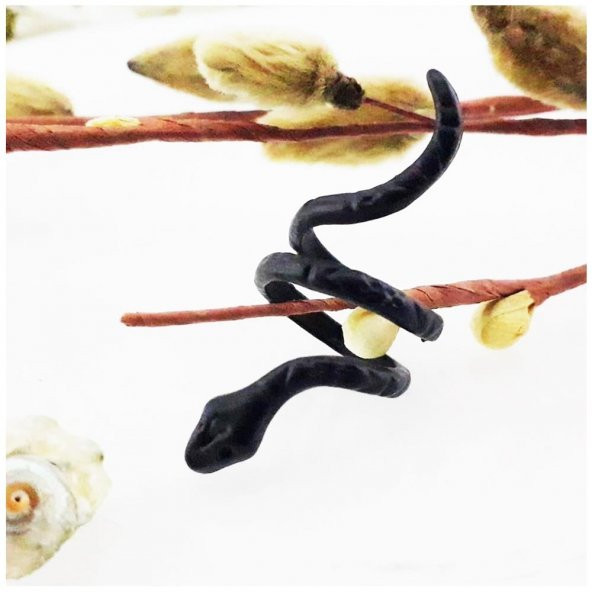 Siyah Renk Yılan Yüzük