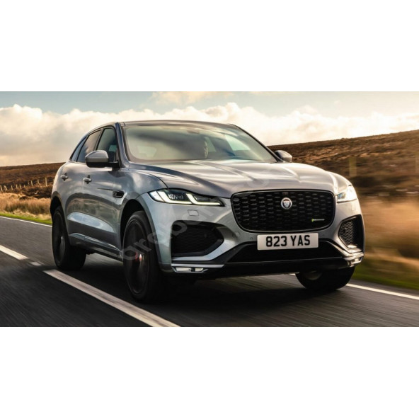 Jaguar XE Ön Panjur Izgara Panter 3M 3D Logo 100mm - 7
