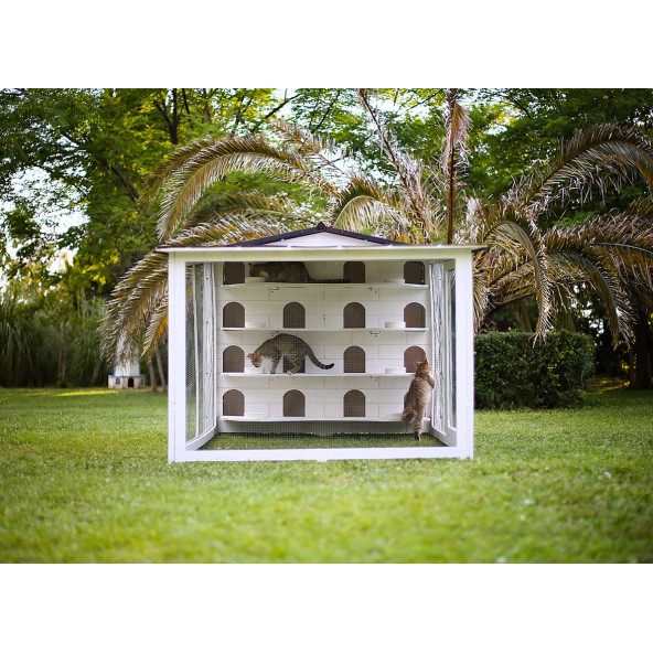 Mandu Bahçeli Kedi Apartmanı (Kedi Evi) Mama Kapları Hediye - 3