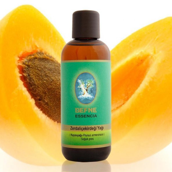 Defne Nuka Essencia Soğuk Pres Zerdali (Kayısı) Çekirdeği Yağı 30 ML - 1