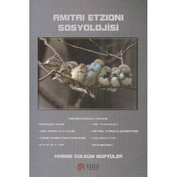 Amitai Etzioni Sosyolojisi