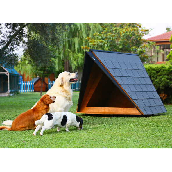 Mandu Ahşap Köpek Kulübesi (A Frame) - 3