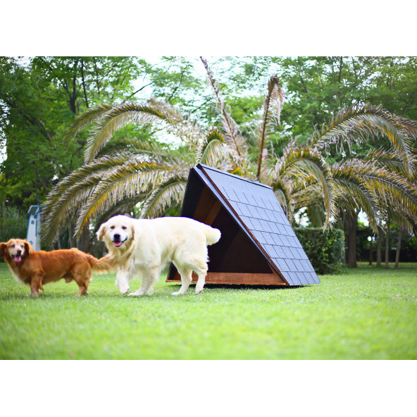 Mandu Ahşap Köpek Kulübesi (A Frame) - 6