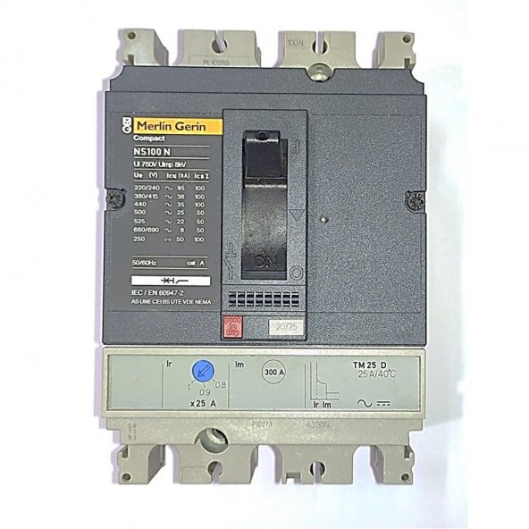 Merlin Gerin 2X25 Amper Kompakt Şalter Ns100n-29624