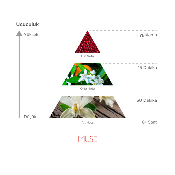 Imprime Muse Edp 50 Ml Kadın Parfümü - 4