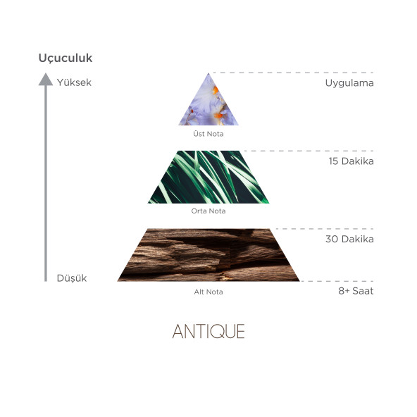 Imprime Antique Edp 100 Ml Erkek Parfümü - Resim 4