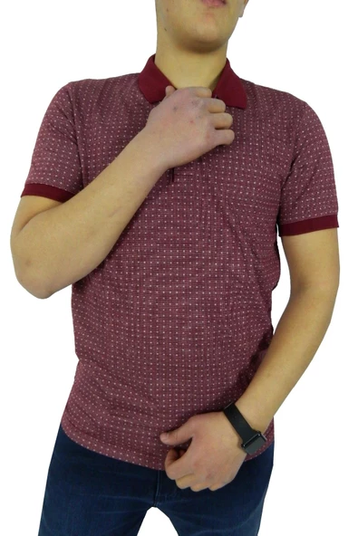 NAYKI ERKEK POLO YAKA JAKARLI T-SHİRT 19072 BGL-ST01042 - Resim 3
