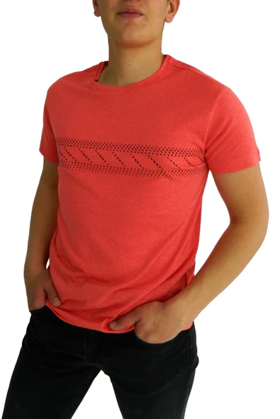 NAYKI ERKEK SIFIR YAKA PANO BASKILI PETEK SÜPREM T-SHİRT 2123 BGL-ST01 - Resim 11