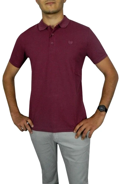 NAYKI ERKEK POLO YAKA PİKE T-SHIRT 2050 BGL-ST01021 - Resim 7