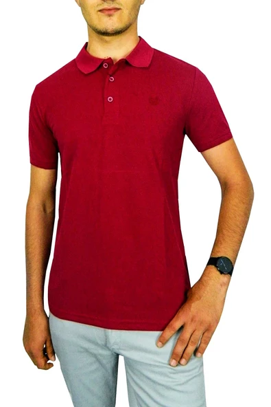 NAYKI ERKEK POLO YAKA PİKE T-SHIRT 2050 BGL-ST01021 - Resim 4