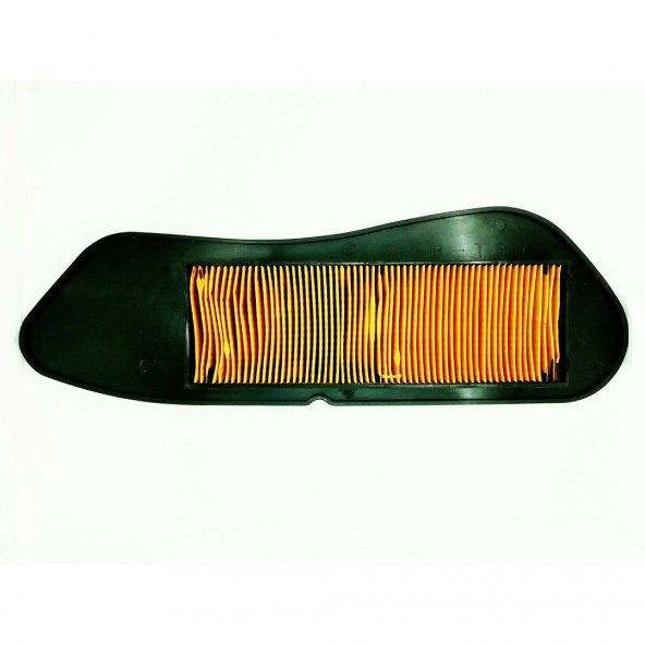 Xmax 250 Hava Filtresi