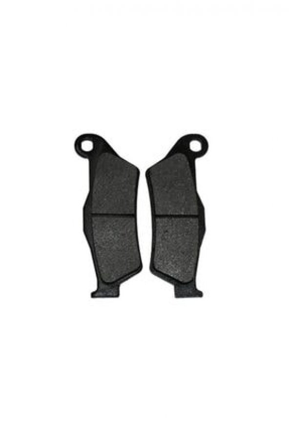 BAJAJ PULSAR NS 200-RS 200-220-NS 150-DİSCOVERY 150 ÖN FREN DİSK - 2