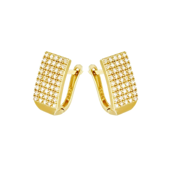 Altın Küpe T038875