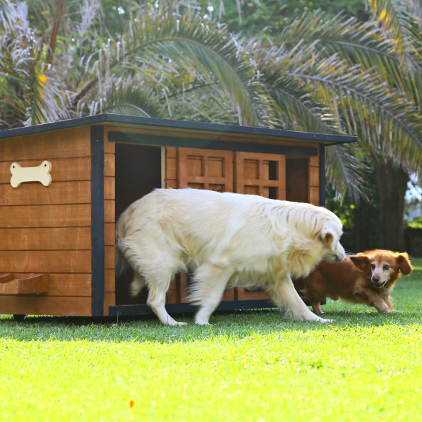 Mandu Ahşap İkiz Köpek Kulübesi (2 Yuva Tek Kulübe) İsimlik Ve Mama Kabı - 3