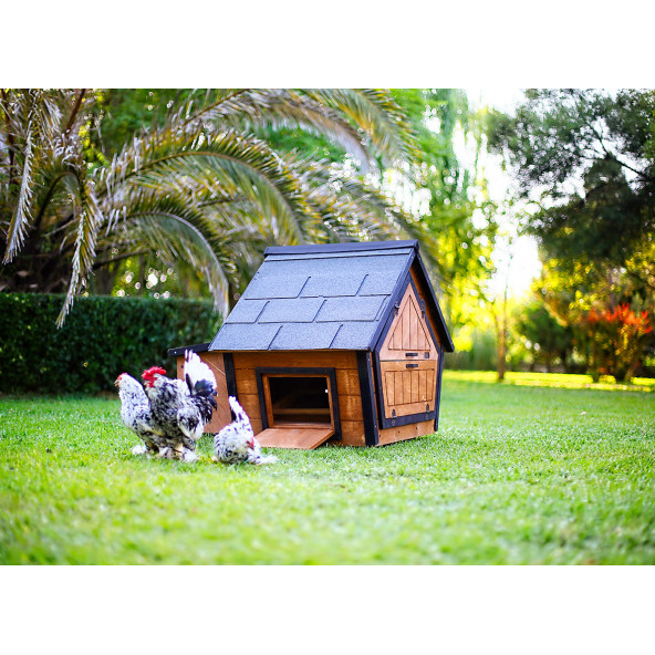 Mandu Ahşap Tavuk Kümesi (6 Tavuk) Ve Güvercin Evi - 4