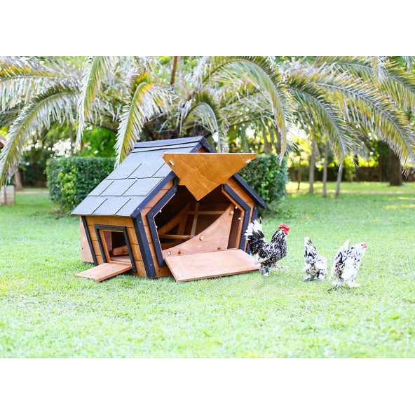 Mandu Ahşap Tavuk Kümesi (6 Tavuk) Ve Güvercin Evi - 5