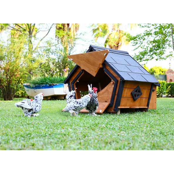 Mandu Ahşap Tavuk Kümesi (6 Tavuk) Ve Güvercin Evi - 6