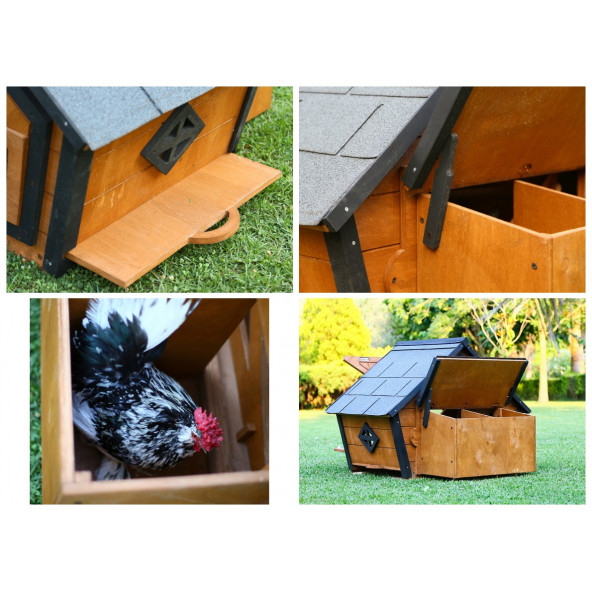 Mandu Ahşap Tavuk Kümesi (6 Tavuk) Ve Güvercin Evi - 7
