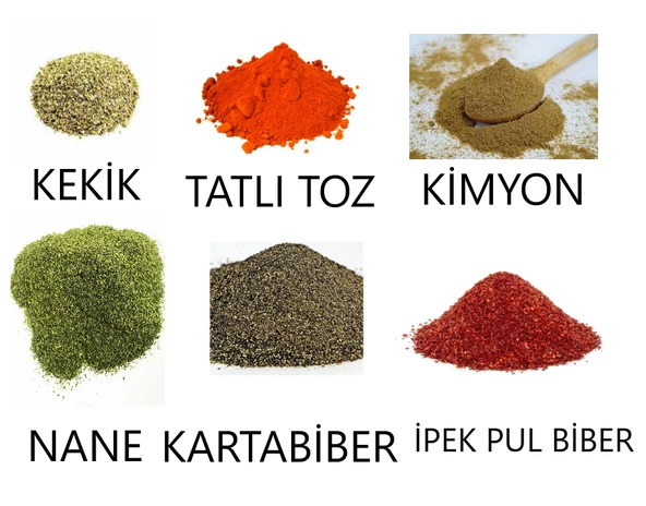 Dökme Baharat Seti- Toplam 300 gr