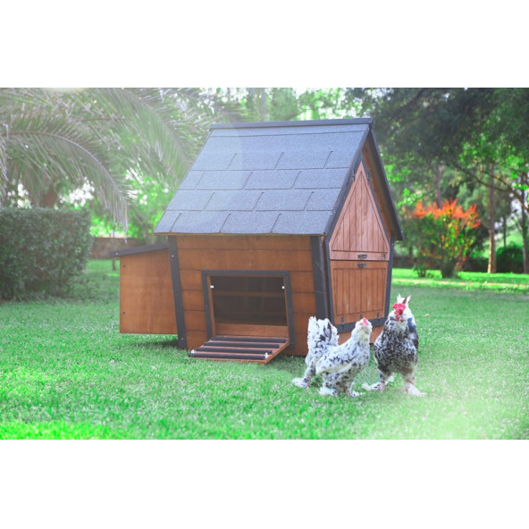 Mandu Ahşap Tavuk Kümesi (10 Tavuk) - 5