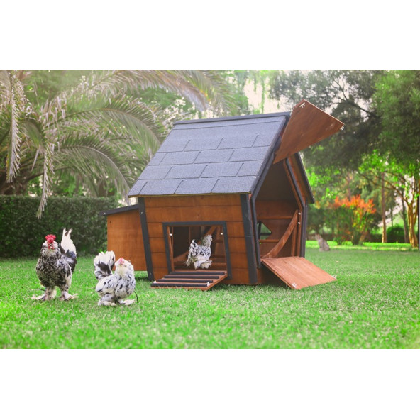 Mandu Ahşap Tavuk Kümesi (10 Tavuk) - 6