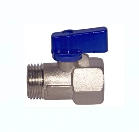 Mini Küresel Vana Erkek Dişi Mavi 1/2 - Resim 6