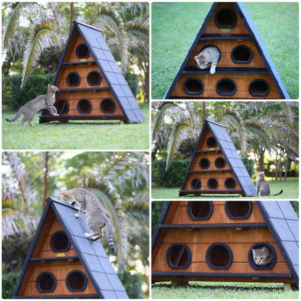 Mandu Ahşap Üçgen Kedi Evi (Büyük Boy) - 7