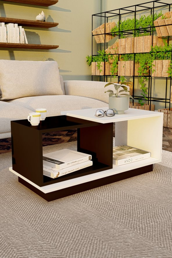 Ünüvar Konsept Dekoratif Orta Sehpa Siyah-Beyaz - Resim 3