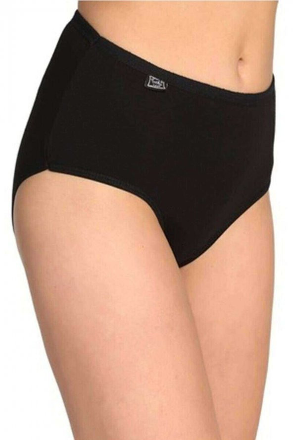 4 Adet Tutku Kadın Yüksek Bel Bato İnce Lastik Külot S2 - 5