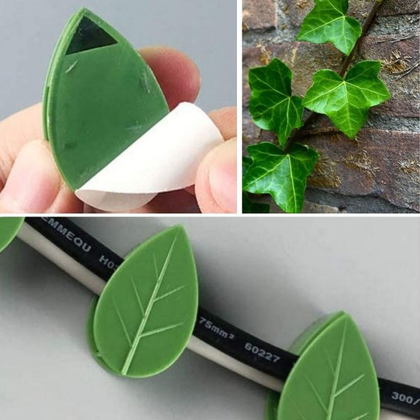 10 lu Yaprak Tasarımlı  Kablo Bitki Sarmaşık Düzenleyici Yapışkanlı Klipsler - Resim 8