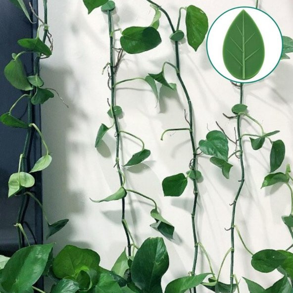 10 lu Yaprak Tasarımlı  Kablo Bitki Sarmaşık Düzenleyici Yapışkanlı Klipsler - Resim 9