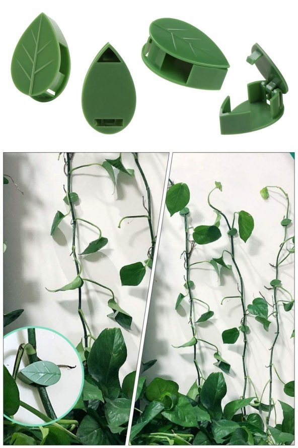10 lu Yaprak Tasarımlı  Kablo Bitki Sarmaşık Düzenleyici Yapışkanlı Klipsler - Resim 12