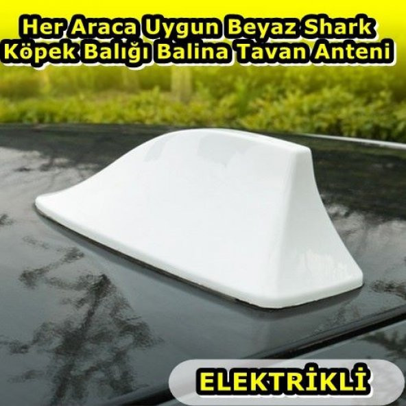 NKT GROUP Her Araca Uygun Beyaz Shark Köpek Balığı Balina Tavan Anteni