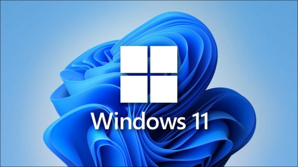 MS Windows 11 Pro FQC-10556 64BIT TR (OEM) - 2