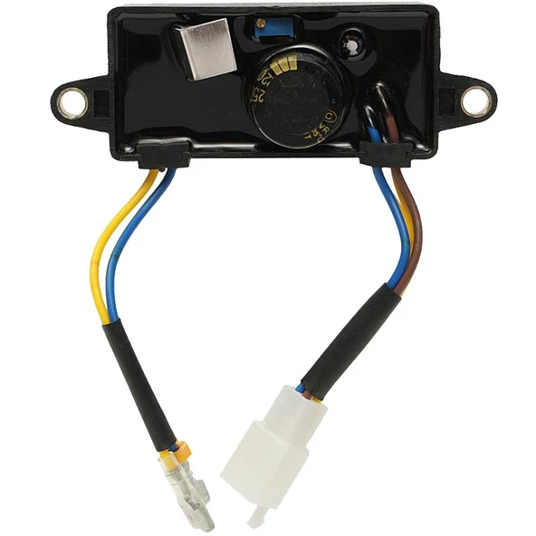 Palmera 2J10406 Otomatik Voltaj Regülatörü - Palmera PA350JE, PA350JM - 2