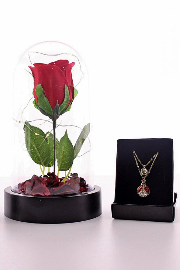 Kişiye Özel Fanusta Led Işıklı Kırmızı Gül ve Uğur Böceği Kolye Seti Mika Fanus - 3
