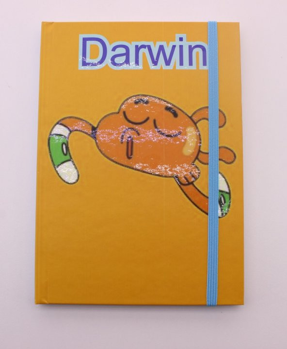 Lastikli Noktalı Sert Kapak Darwin ve Gumball Defter - 4