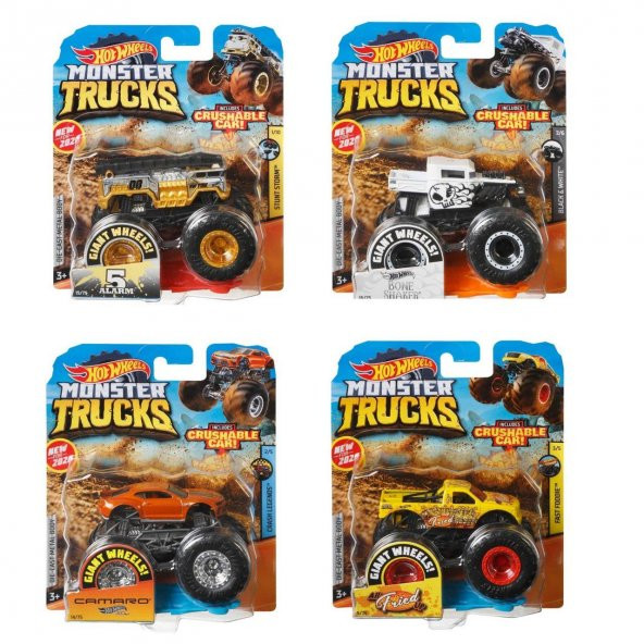 FYJ44 Hot Wheels, Monster Trucks 1:64 Arabalar - 9