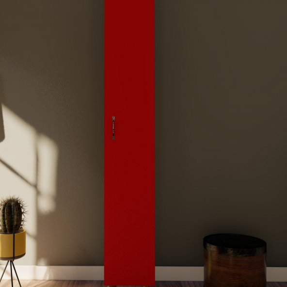 ÖMER TEK  KAPAKLI GARDROP - Resim 6