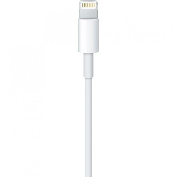 Apple Lightning - USB Kablosu (1 m) - MXLY2ZM/A