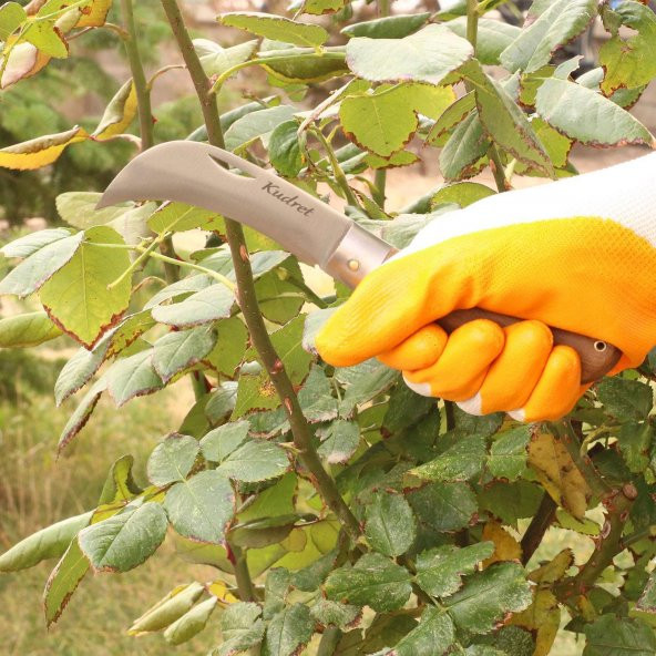 Aşı Bıçağı Eğri Uçlu Bağ Bıçağı Ara Çakı + Aşı Bandı + Aşı Macunu + Eldiven (4'LÜ SET) - 6