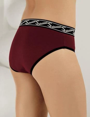 6 lı Paket Şahinler Bayan Likralı Bikini Külot B3084 - 5
