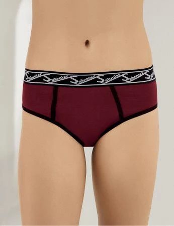 6 lı Paket Şahinler Bayan Likralı Bikini Külot B3084 - 4