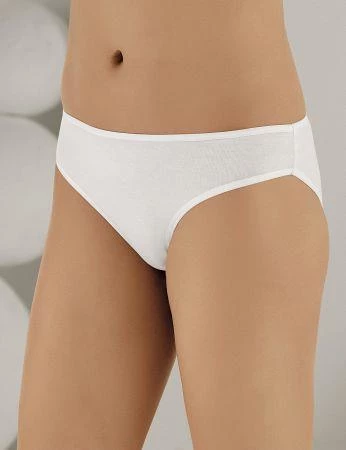 6 lı Paket Şahinler Bayan Modal Likralı Bikini Külot B3081 - Resim 2