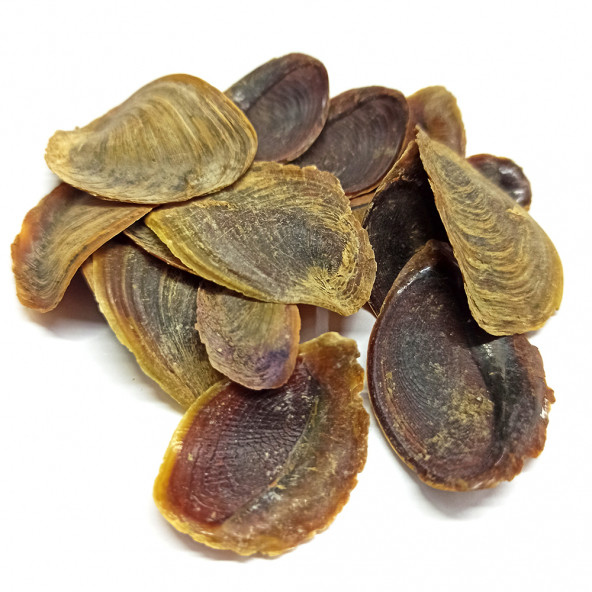 Naturdan Şeytan Tırnağı 10 Adet - 2