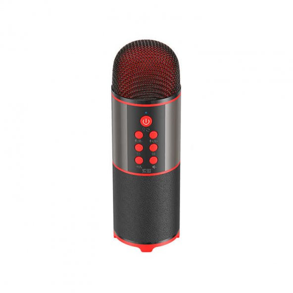 Soaiy MC12 Karaoke Mikrofon