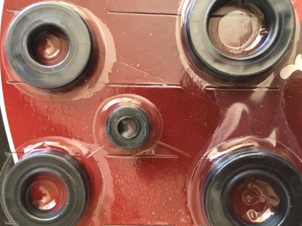 CG 5Lİ KEÇE SETİ RMG MOTOR KOMPLE YAĞ KEÇELERİ - Resim 3