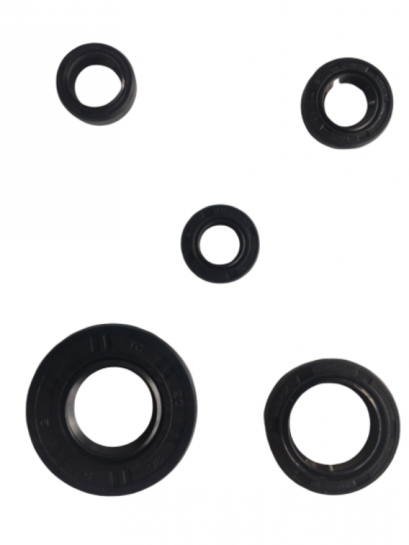 YBR 5 Lİ KRANK MOTOR KEÇE SETİ